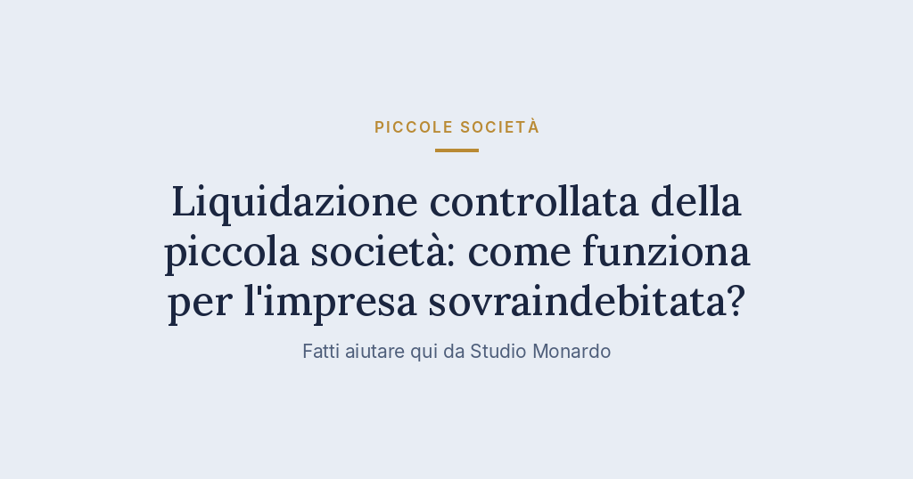 Liquidazione Controllata Della Piccola Società: Come Funziona Per L’impresa Sovraindebitata?